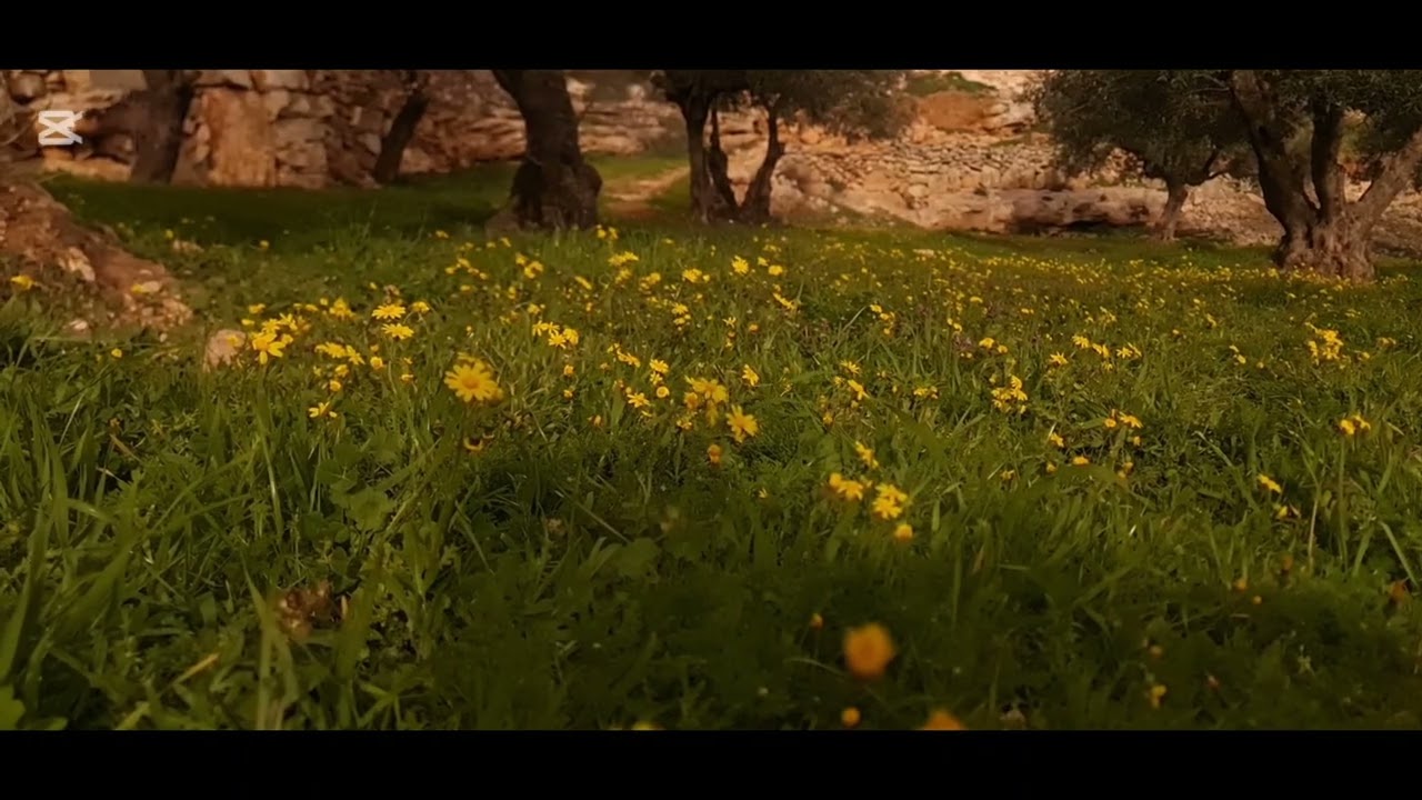 تلاوة تريح القلوب 🌿 سورة طه كاملة بصوت القارئ سعود الفايز | مَلَكُوت Malakut