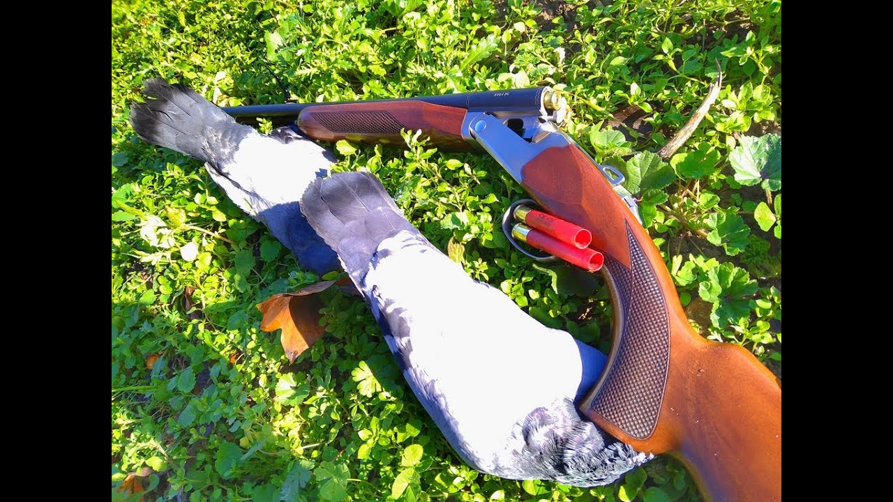 Essai Vercar juxtaposé cal.410 + passe aux canards cal 20