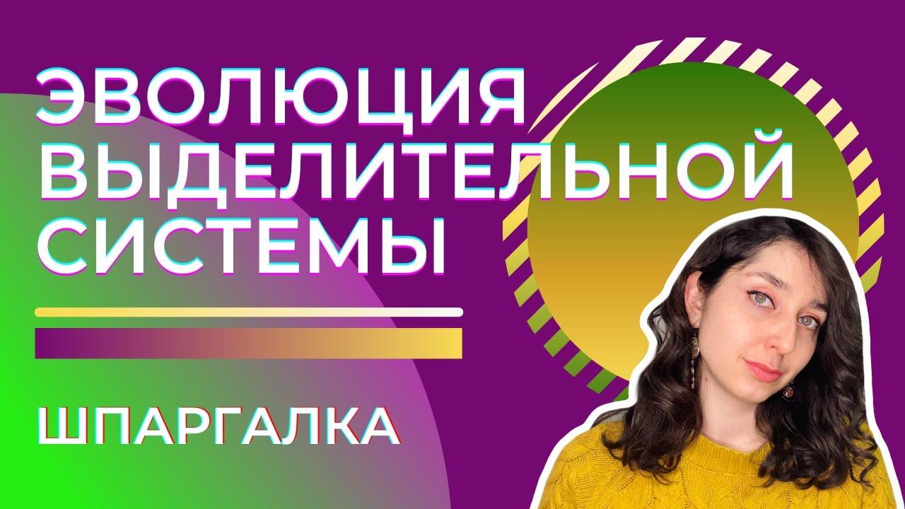 Выделительная система животных— шпаргалка. ЦТ, ЕГЭ, ЗНО