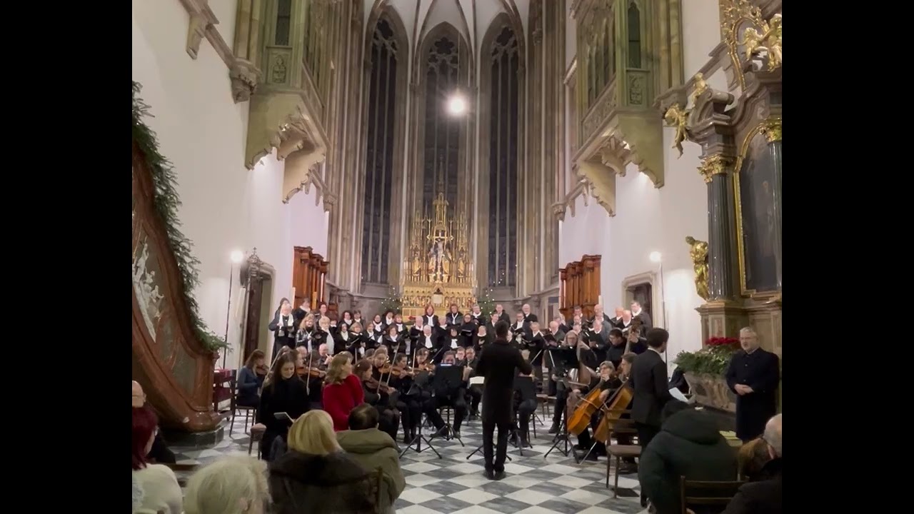 Vánoční koncert, katedrála sv. Petra a Pavla v Brně, 4.ledna 2025