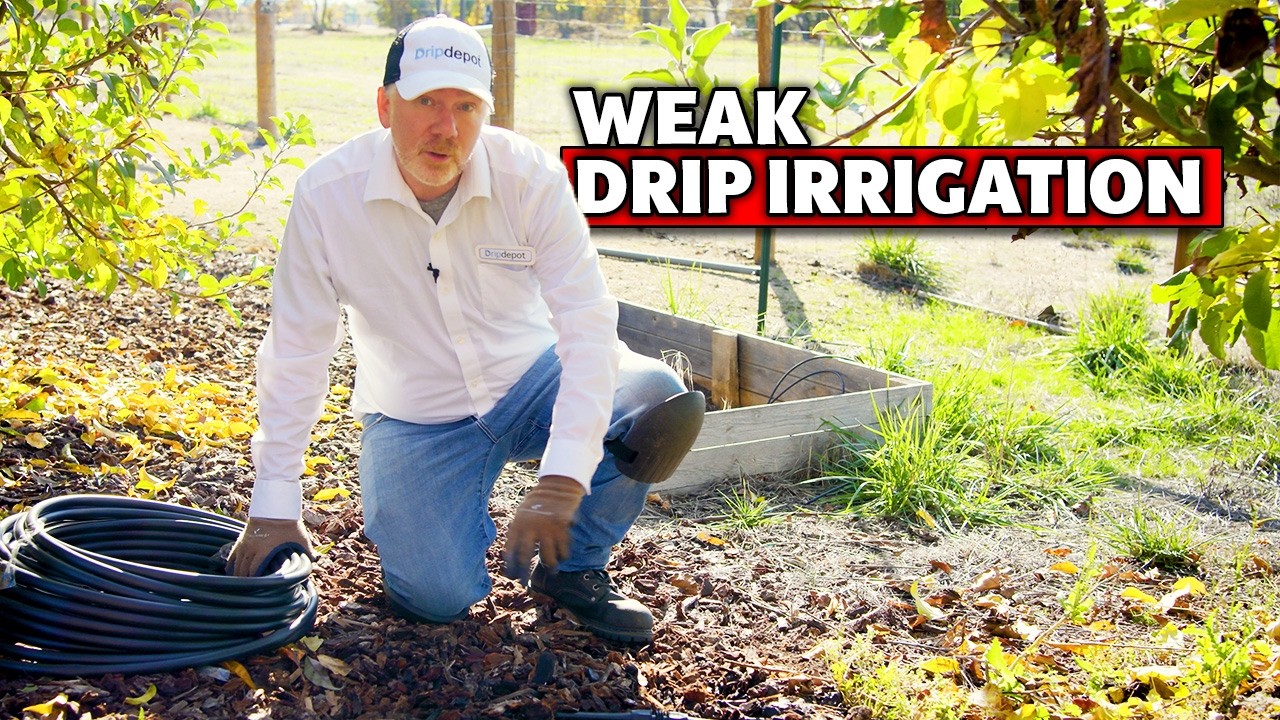 How to Fix a Weak or Leaking Drip Irrigation System (Beginner's Guide)