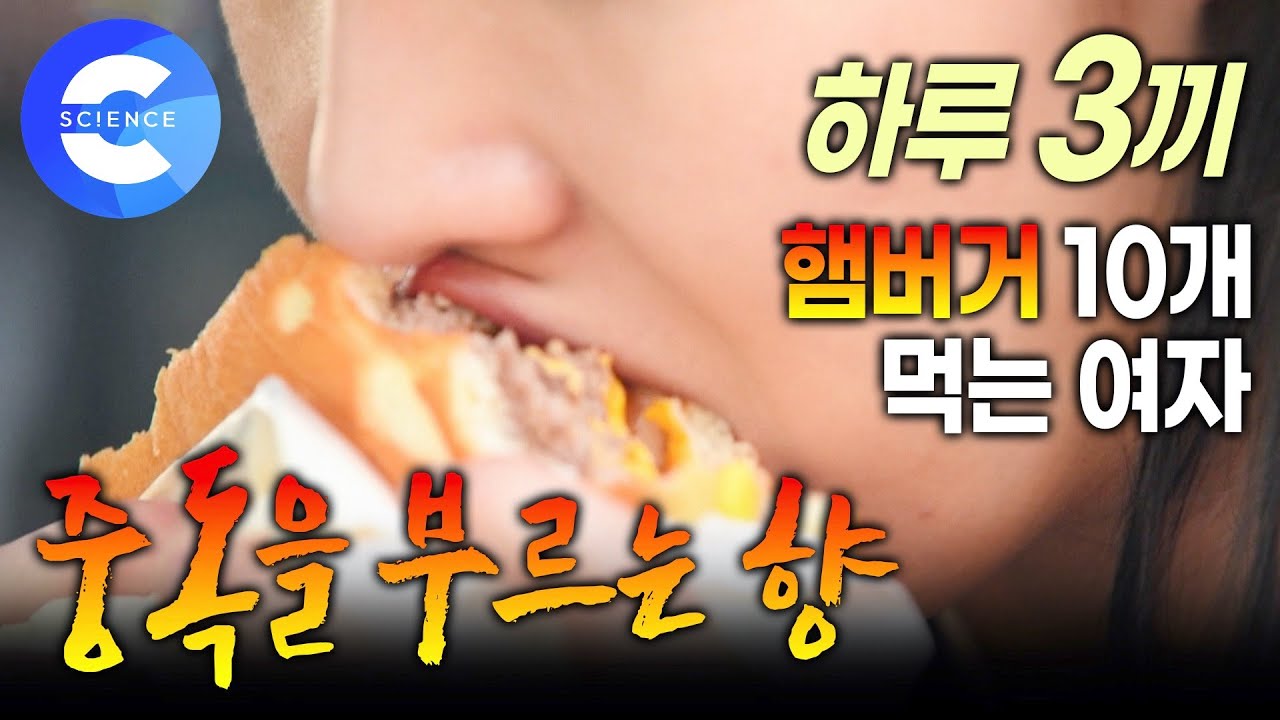 패스트푸드를 자주 먹는 이유!! 🍔 중독을 부르는 향이 있을까? | 맛의 배신 | 다이어트 | 비만