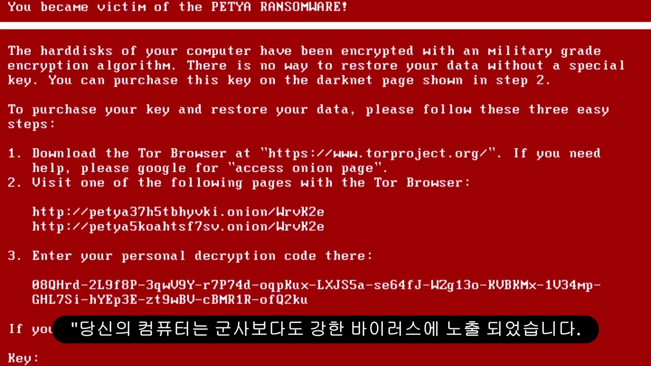 [Korean/ENG CC] Destroying Windows with Viruses - MEMZ and Petya (Flash Lights Warning)