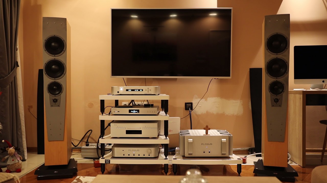 Dynaudio Contour s5.4 - Plinius Kaitaki & amp 103 No1