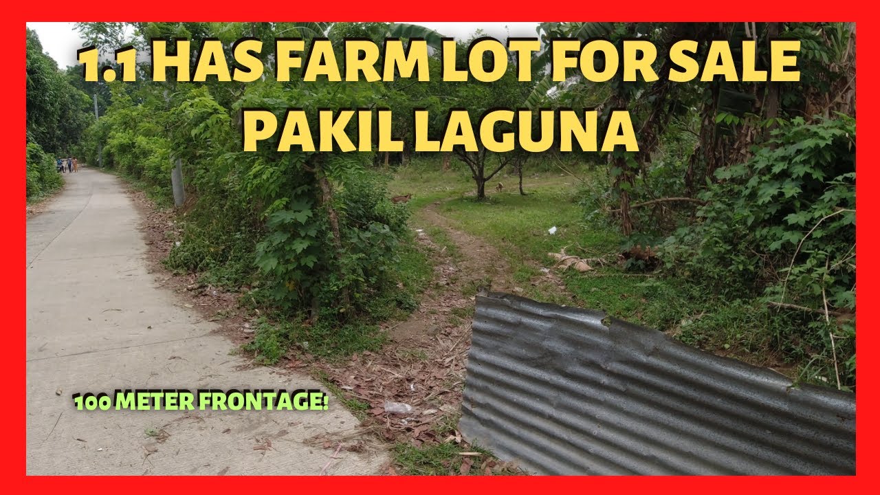 1.1 Has Farm Land in Pakil Laguna for Sale (Lot Code: 2347)
