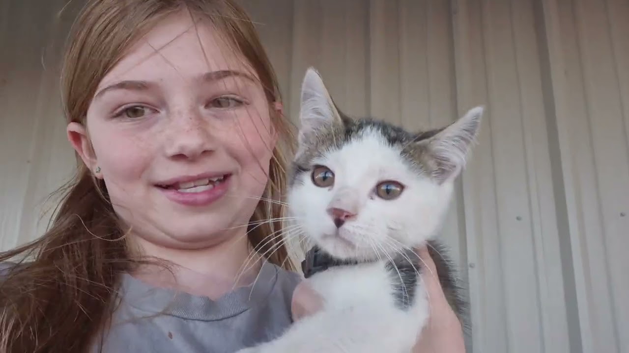 Hello meet me and my animals (first ever video)