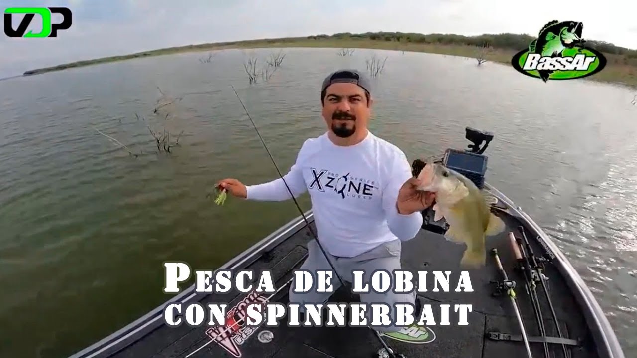 Pesca de lobina con spinnerbait
