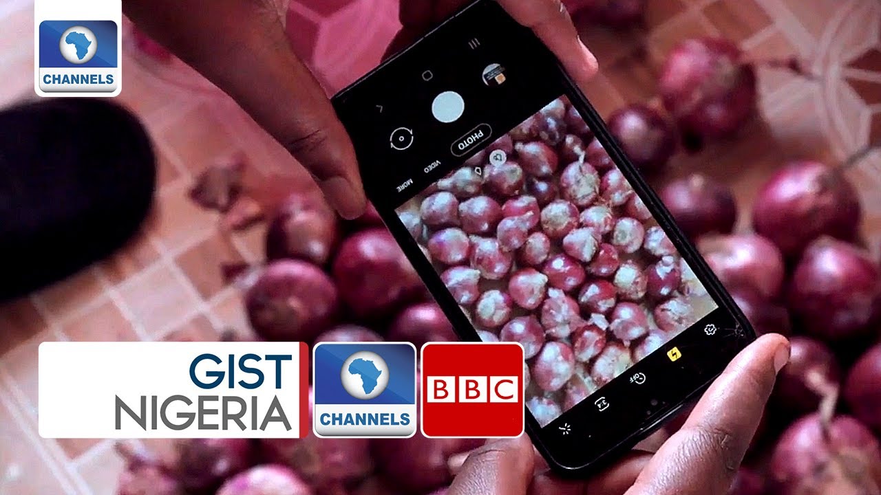 Kenya Social Media Farmers