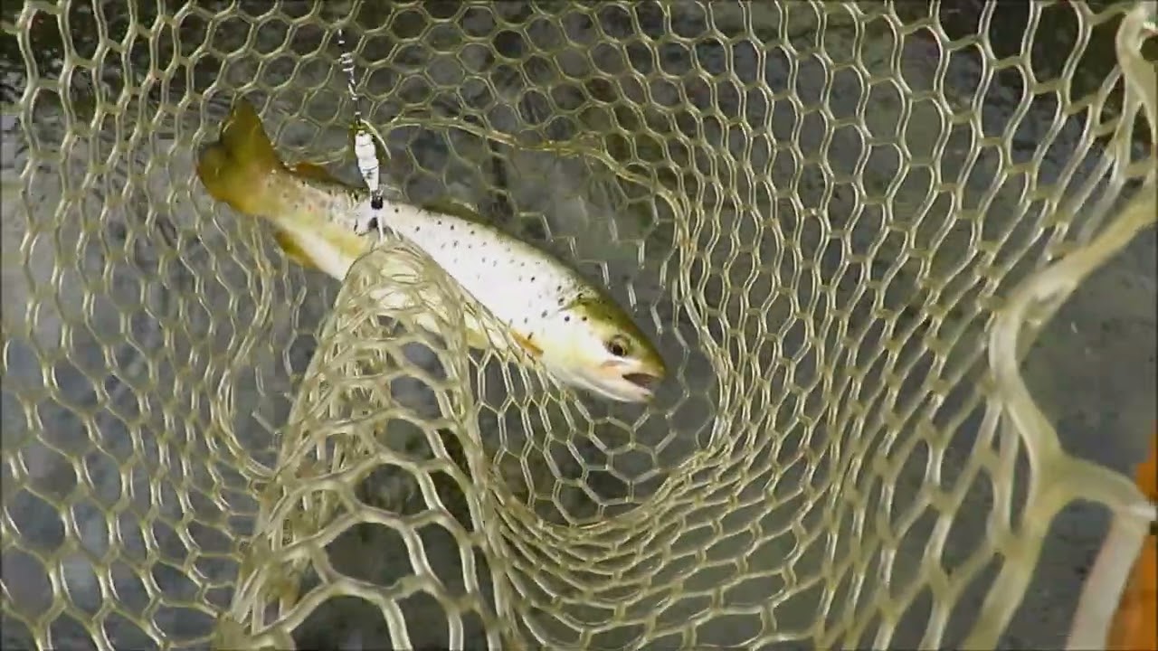 Fast water success before storm arrives.