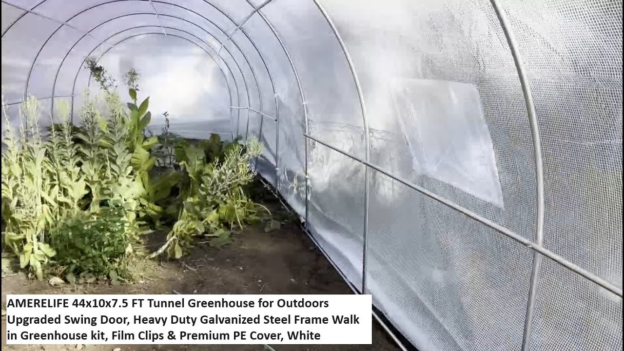 Tunnel Greenhouse by AMERELIFE 44x10x7.5 FT Upgraded Swing Door, Heavy Duty Galvanized Steel Frame