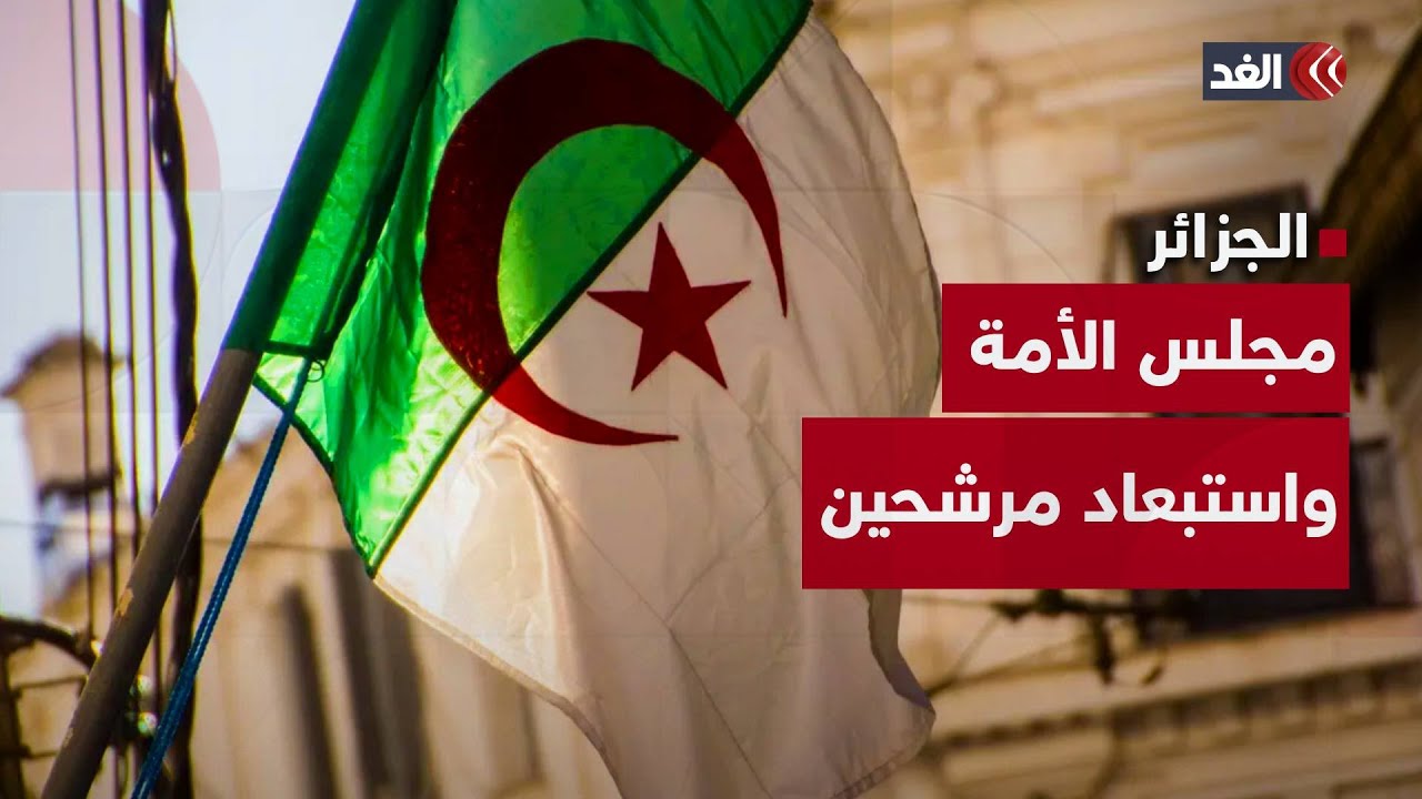 الجزائر| سلطة الانتخابات تستبعد 206 مرشحين لانتخابات التجديد النصفي لمجلس الأمة