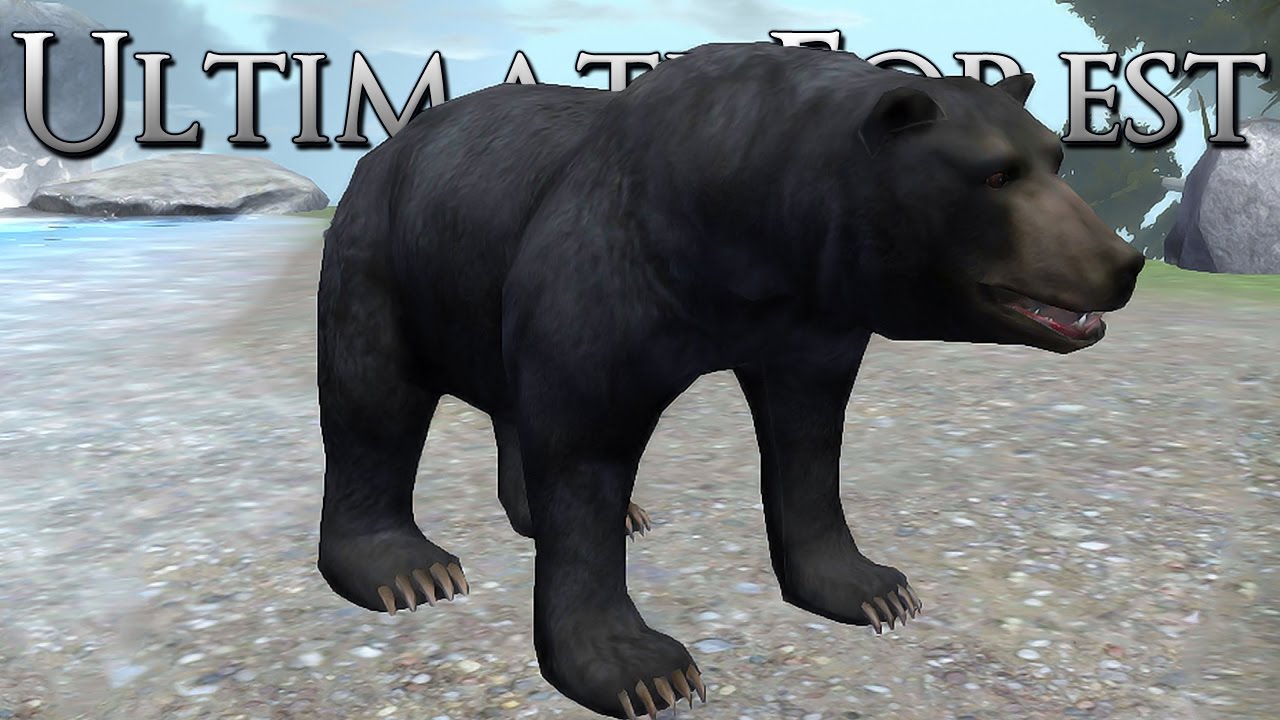 Grizzly Bear Battles & Surfing on Lilypads!! • Ultimate Forest Simulator