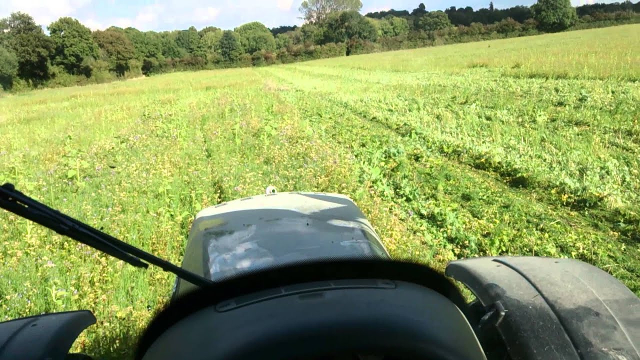 Andy Howard's no-till wheat