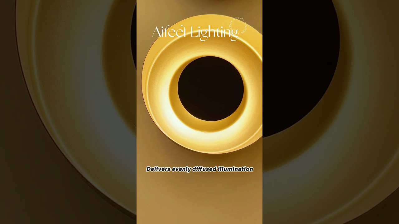 Private model design, unique ceiling lamp & single pendant lamp #manufacturer