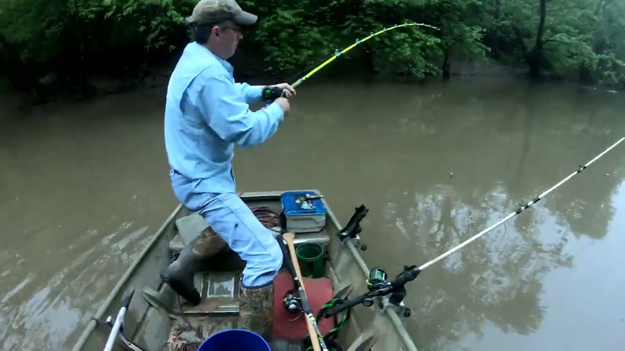 Back to Clark's River for Flathead and Blues