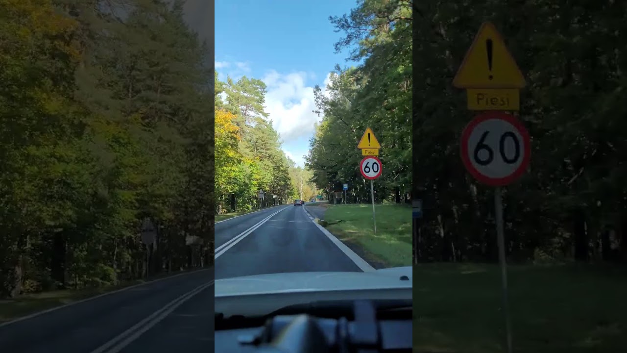 Fall In Poland 🧡💛🤎🍁🍂🌲🍃