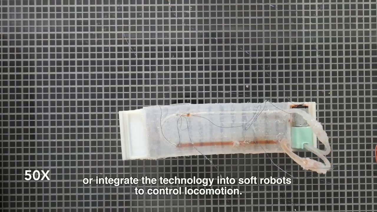 A soft matter computer for soft robots