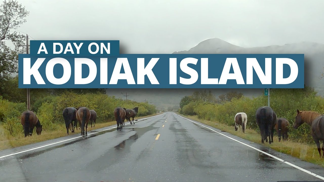 A day on Kodiak Island | Travel Alaska