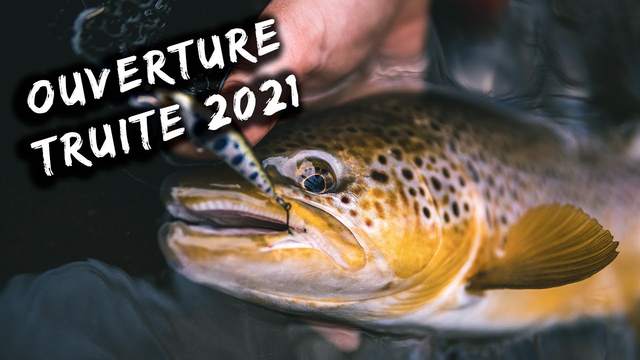 Ouverture truite 2021 : 50+ sinon rien !