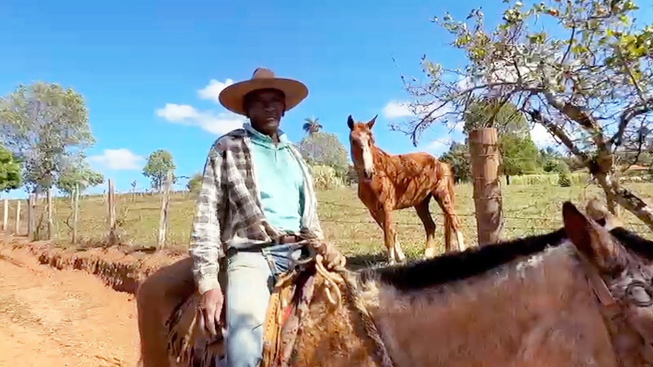 ELE TEM  91  ANOS, VOCÊ NEM IMAGINA OQUE ELE FAZ NA ROÇA 