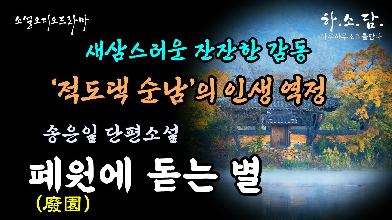 [그냥 사는 것이다] 사람이 왜 사는지? &lsquo;적도댁 순남&rsquo;의 인생 역정.  [폐원(廢園)에 돋는 별-송은일]  #하소담오디오드라마 | 오디오북