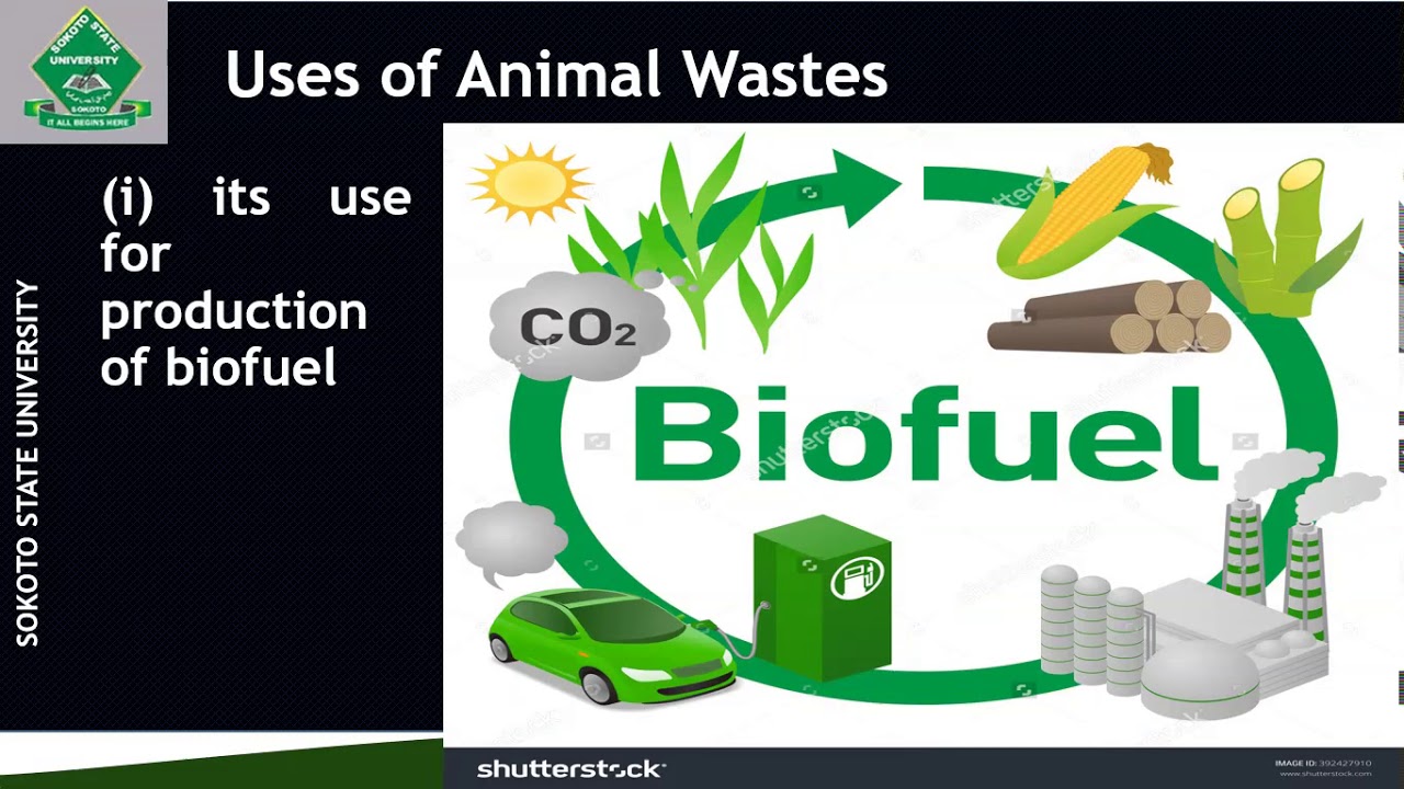 Effects of Food Production on the Environment