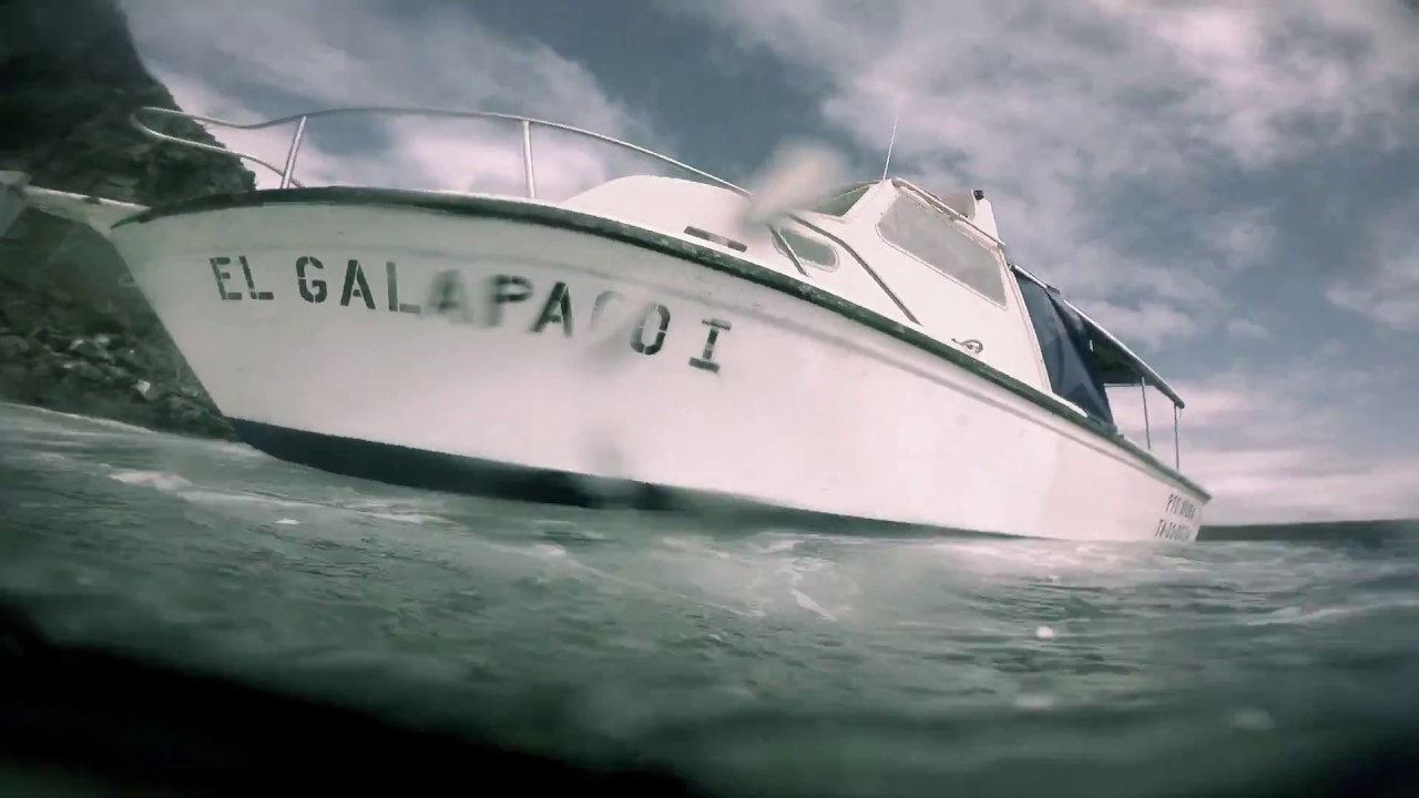 Galapagos Inseln - Tauchurlaub 2016
