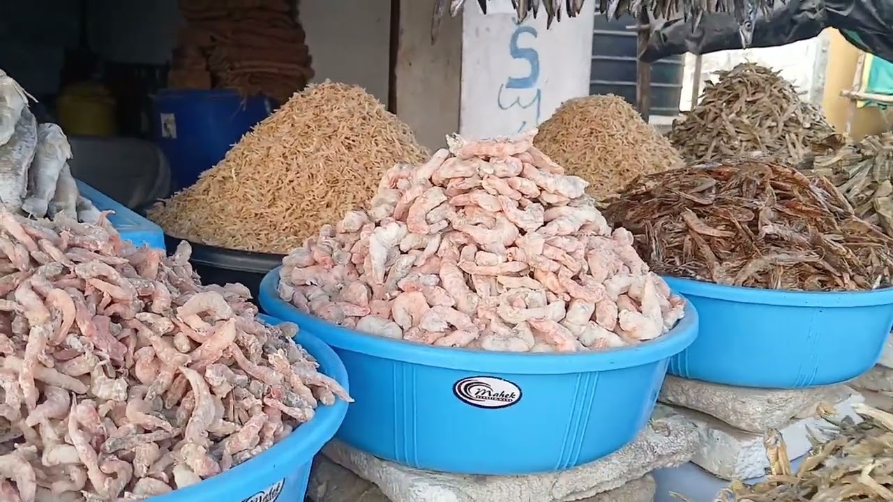 🦐🦐🐟🐟🐟🐟Chirala beach👣👣👣👣🐟🐟🐟🦐🦐🦐🦐🦐🦐