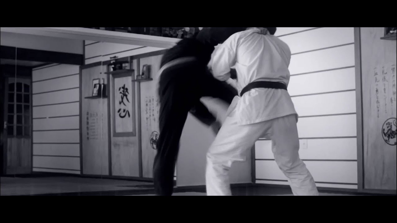 Karate Jutsu the Art of the Warrior