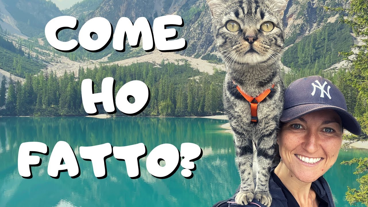 GATTO AL GUINZAGLIO: COME CI SONO RIUSCITA?