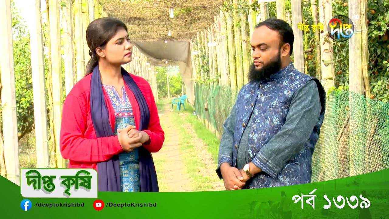 DEEPTO KRISHI | বাংলাদেশের সবচেয়ে বড় কমলার বাগান,যেখান থেকে বছরে আয় প্রায় চার কোটি টাকা |