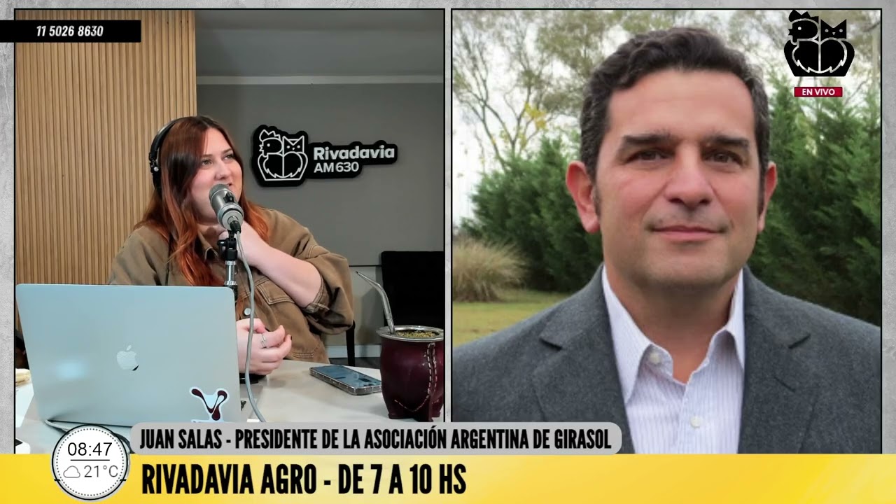 #RivadaviaAgro | GIRASOL: la expansión del girasol en la campaña 2025/26
