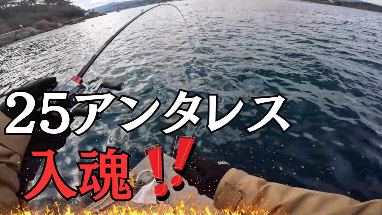 1月上旬 東北ロックフィッシュ 黄金の刺客  編