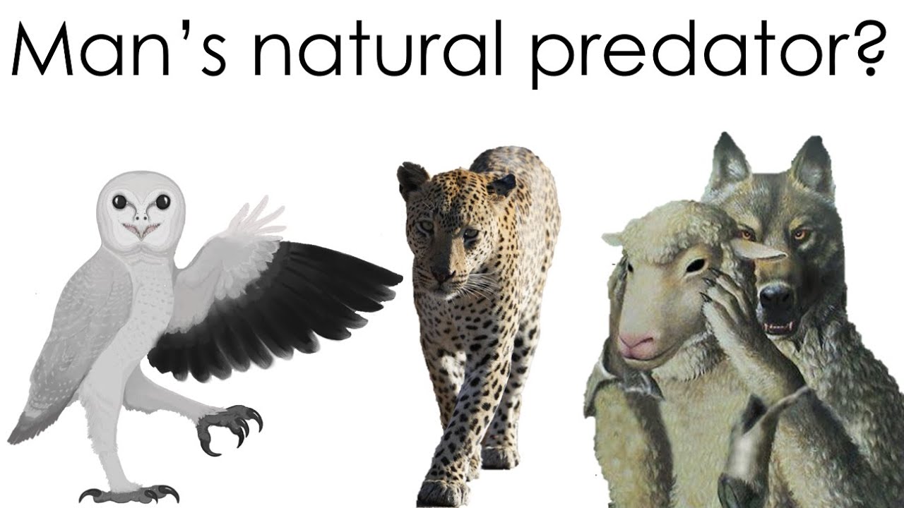 Spec evo short : Hunting humans