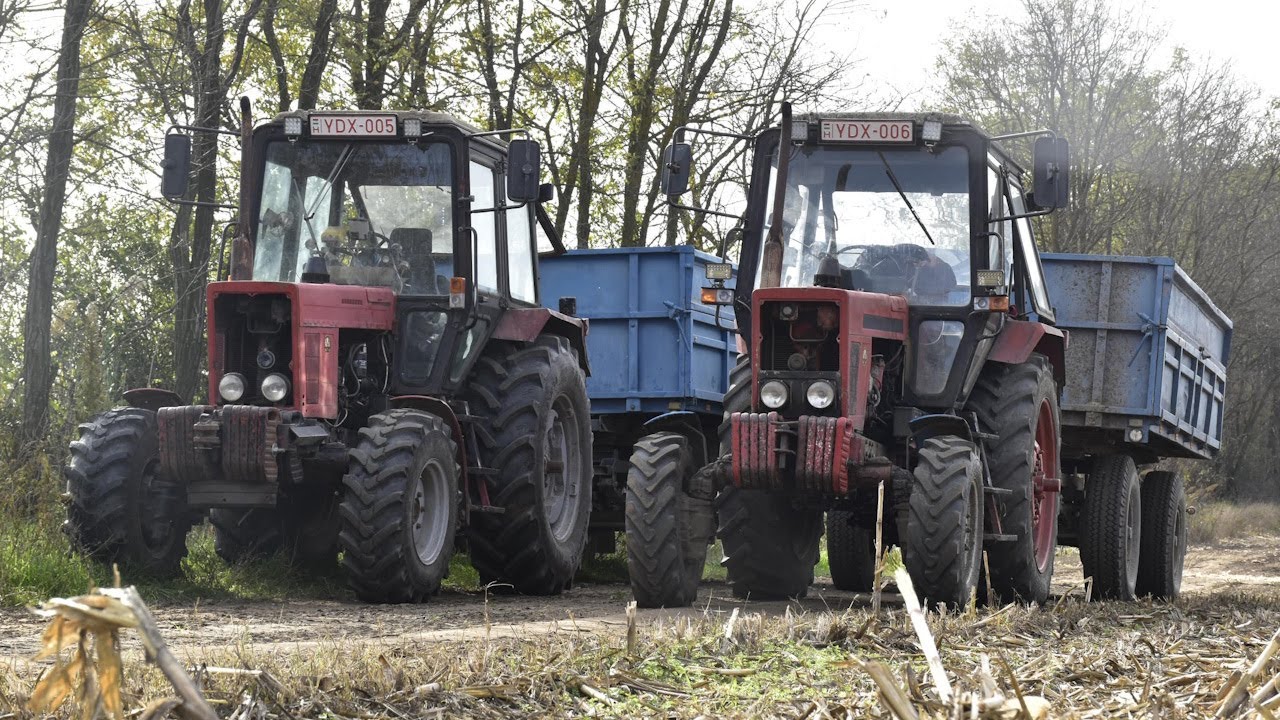 2023 Kukorica aratás 3.rész