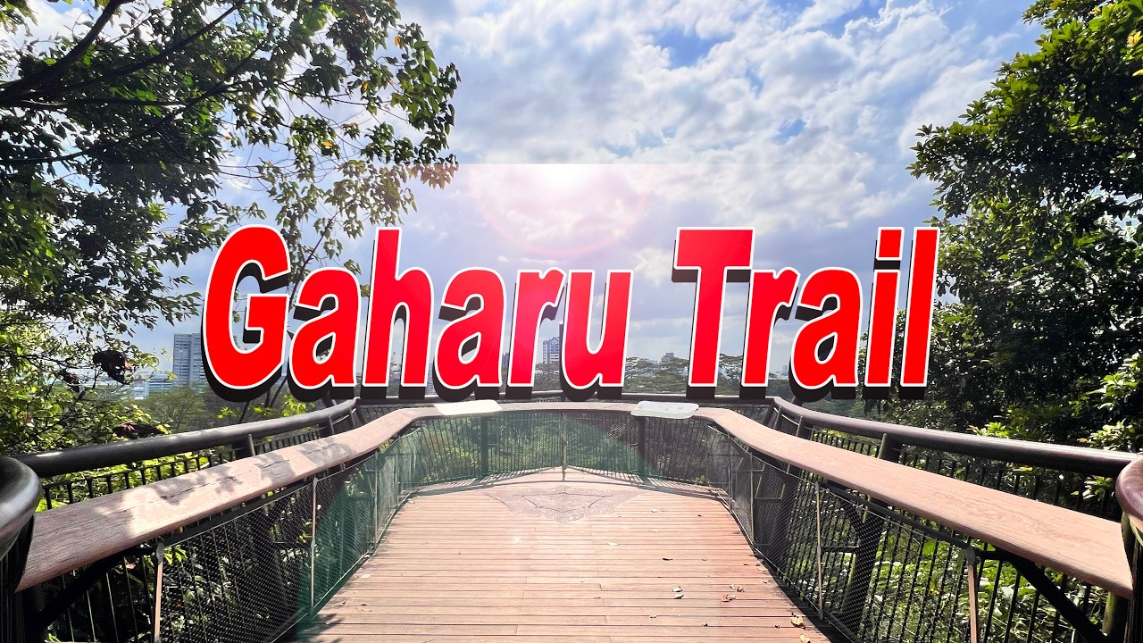 Singapore - Gaharu Trail Nature Walk