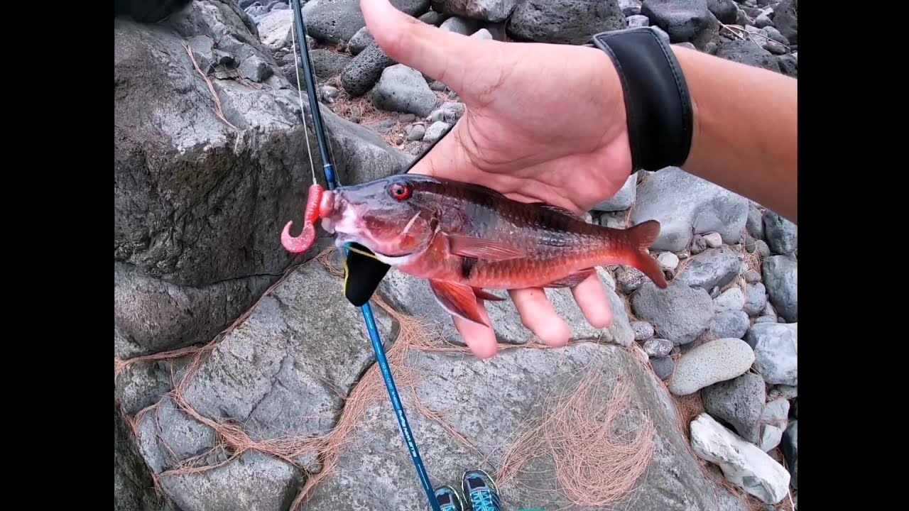 [PÊCHE AU LEURRE EN MER] à La Réunion