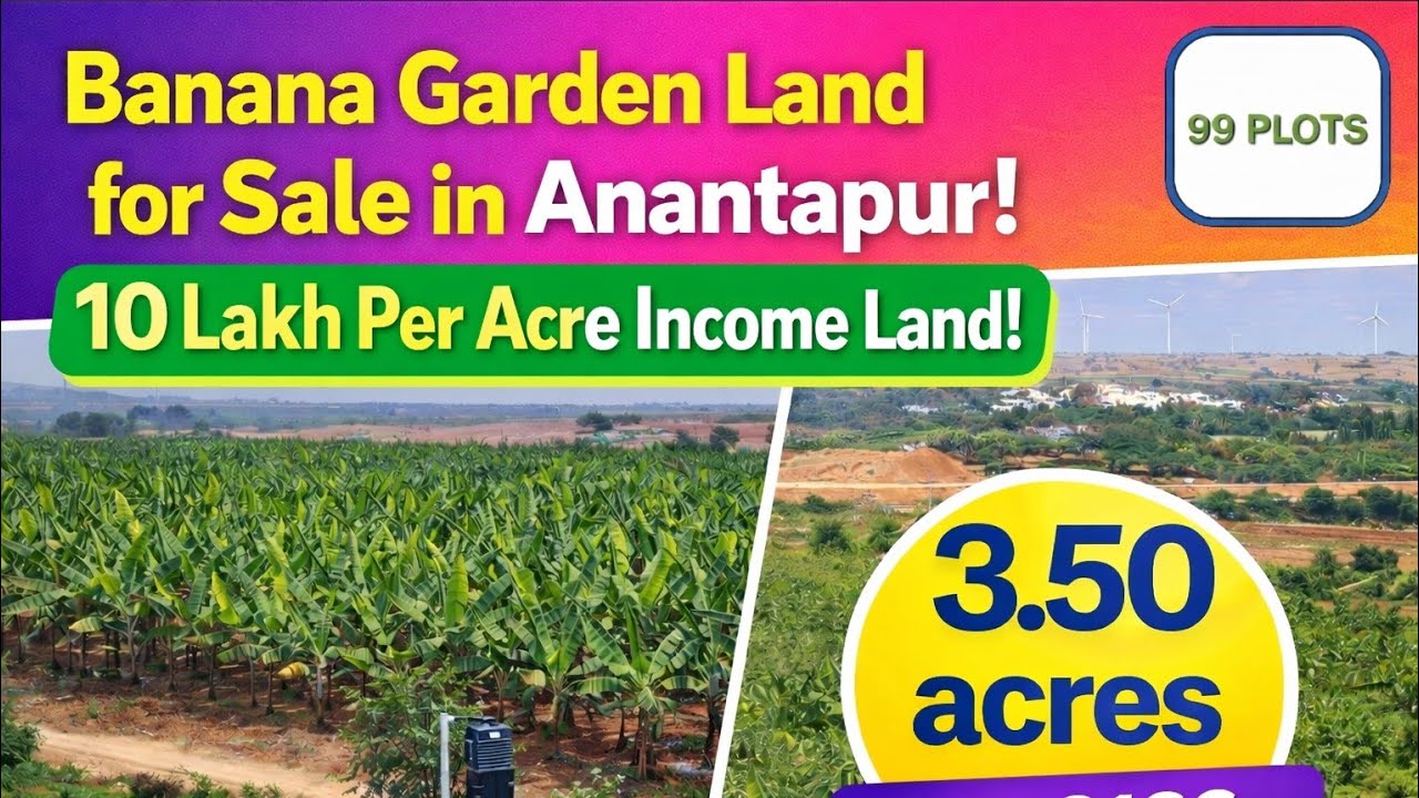 Income Generating Banana Farm in AP | 3.50 Acres | 10 Lakhs Per Acre | Near #Anantapur