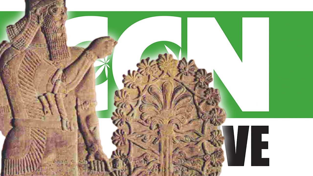 Cannabis Culture News LIVE: Modern Civilization Was Founded on Marijuana