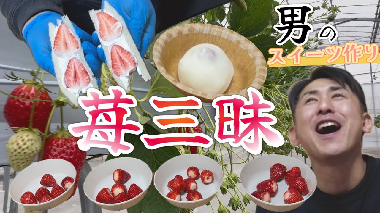 いろんなイチゴをサンドしてみた【男のスイーツ】