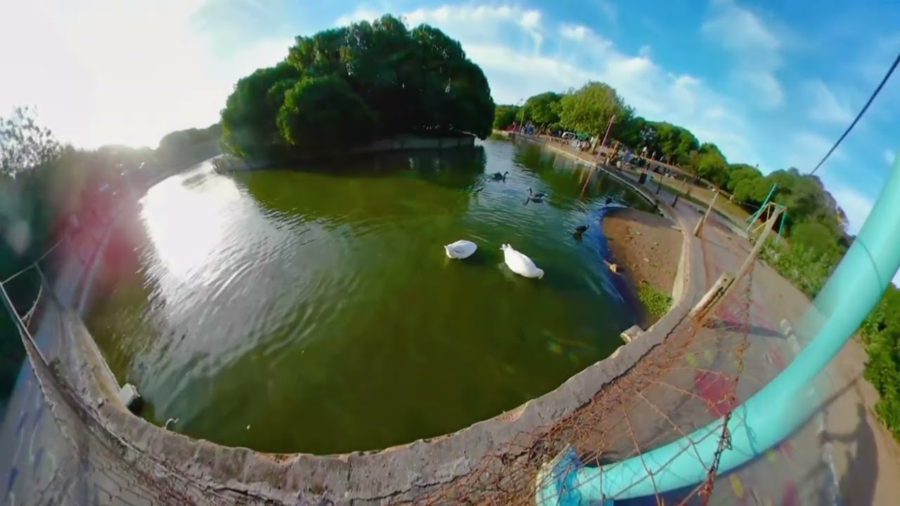 HD720P - Lago de los cisnes - playa