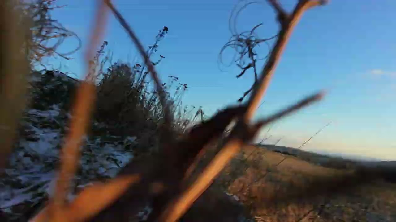 DJI Neo 2 - almost crash - Circle 20m