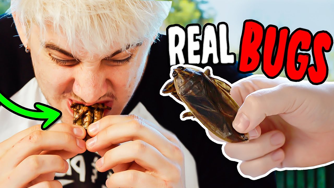 We Ate Bugs Again...