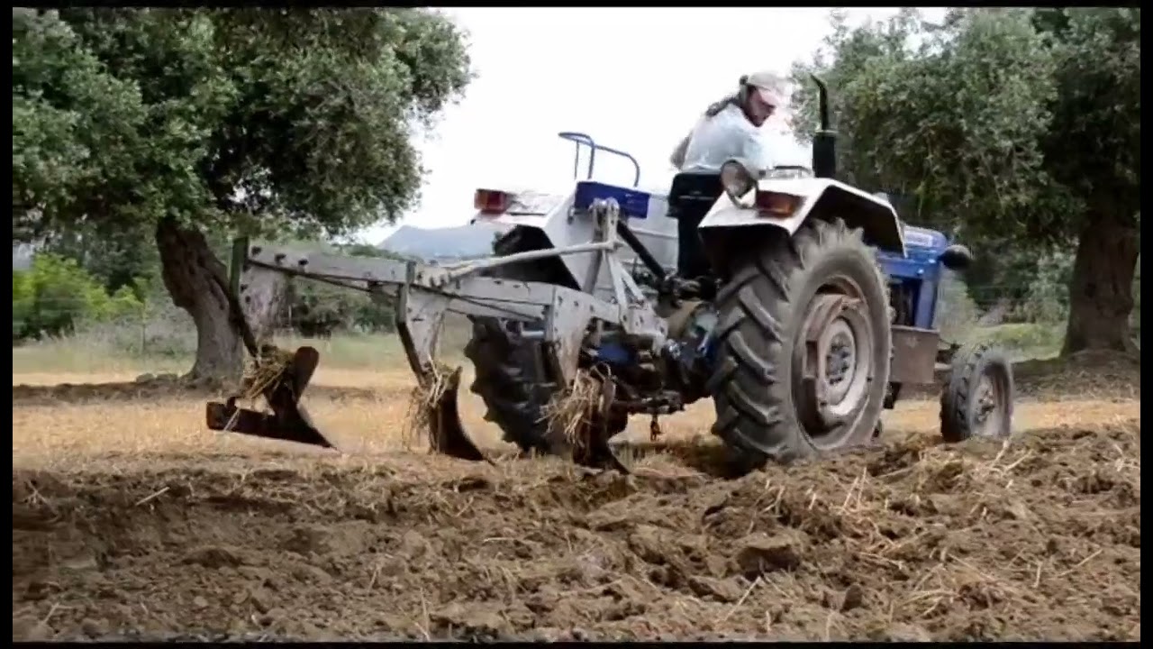 Ford 2000 İle Çift Sürümü. Sudan Otu İçin Toprak Hazırlığı
