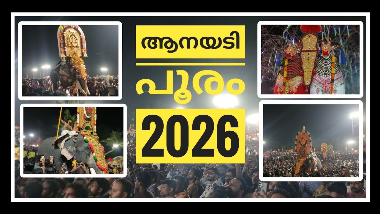 ആനയടി പൂരത്തിന്റെ ആവേശം! ഗജമേളയും മേളപ്പെരുക്കവും | Anayadi Pooram 2026 