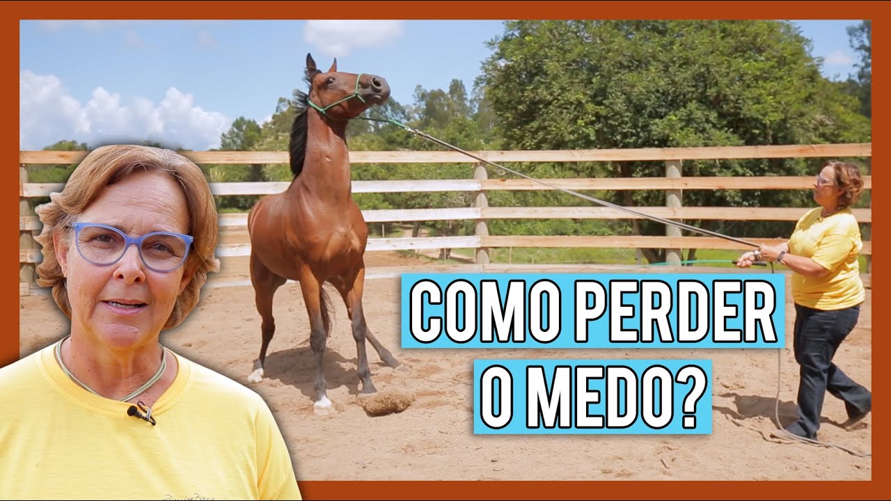 Meu CAVALO é ASSUSTADO. E agora?