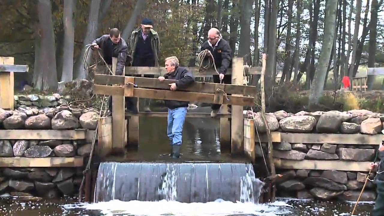 Fiskefällan öppen igen