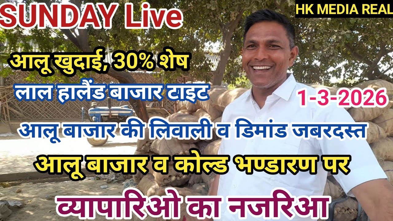 1- मार्च-2026- SUNDAY Live,  आलू बाजार की लिवाली व डिमांड जबरदस्त बरकरार, लाल हालैंड और टाइट छिबरामऊ