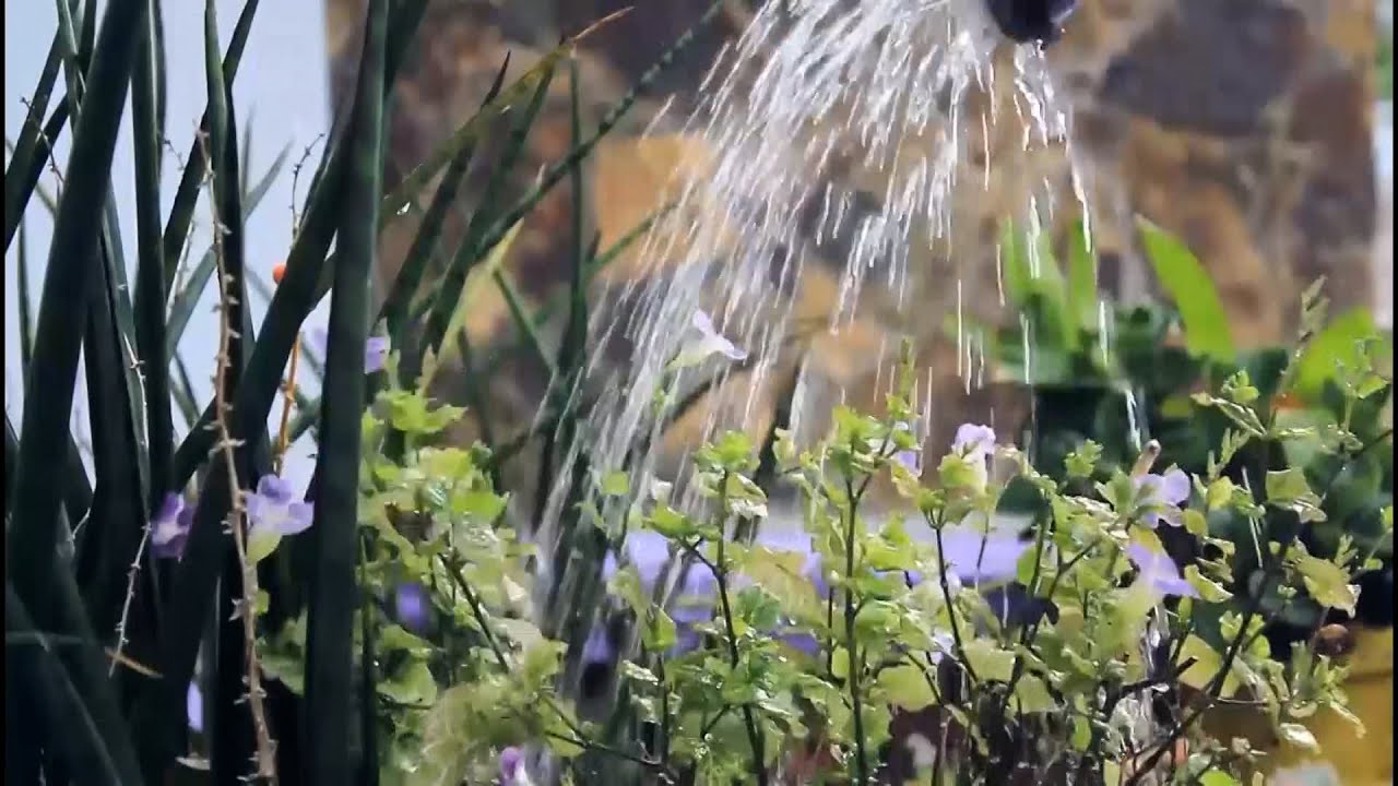 Озеленение &ndash; от грязи к катастрофе: почва под угрозой