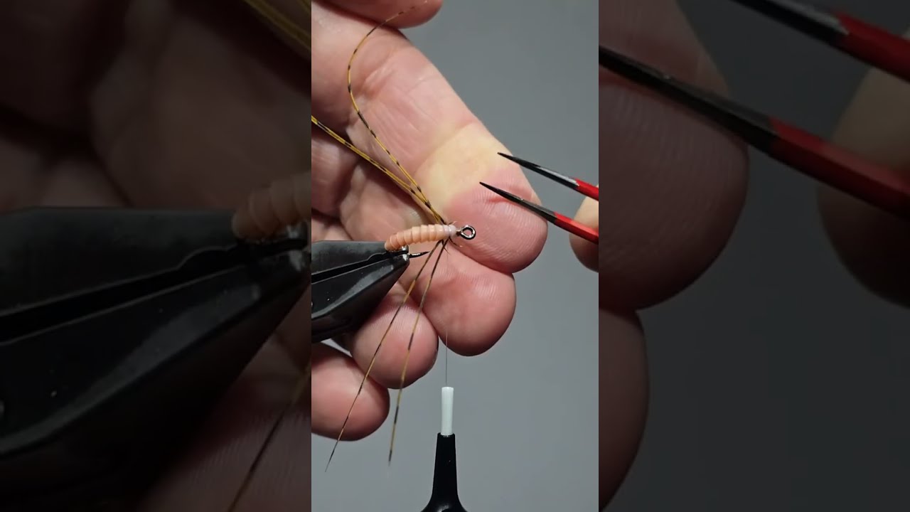Live streaming of Fly Tying Zone, Dave Hise